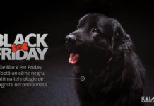 Campania Black Pet Friday