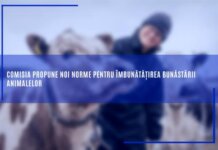 Comisia propune noi norme pentru îmbunătățirea bunăstării animalelor