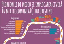 Calitatea aerului, managementul deseurilor si problemele legate de spatiile verzi, principalele nemultumiri din micile comunitati ale Bucurestiului. Platforma de mediu pentru Bucuresti investeste 750.000 de euro in proiecte civice de mediu in u