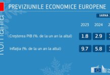 Previziunile economice din iarna anului 2024
