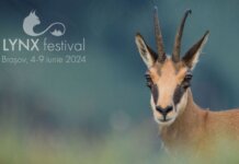 Cea de-a doua ediție LYNX Festival va avea loc între 4 – 9 iunie