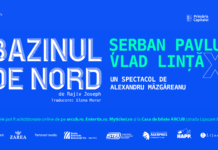Premiera Nationala LA ARCUB: „BAZINUL DE NORD” de Rajiv Joseph, regizat de Alexandru Mazgareanu