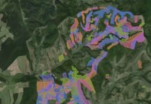 Timiș, în topul județelor preferate de investitorii din sectorul agricol