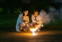 Focus Japonia la TIFF.23