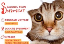 Salonul Felin Internațional București, ediția de primăvară la Sala Palatului, 11-12 mai 2024