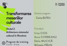 Incepe selectia pentru modulul II al Programului de training Transformarea meseriilor culturale