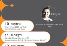 ECHOES -Festivalul „Aurel Stroe” va avea loc în această săptămână