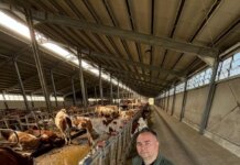 Agricultură ca în vest și în România! Cu ajutorul fondurilor Europene, fermierii de la noi din țară pot face diferența. Duminică, la România, te iubesc!, o nouă ediție din campania EU Yes La Vot!