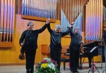 Turneul Național Duelul Viorilor continuă la Iași (11 iunie) și Caracal (12 iunie)