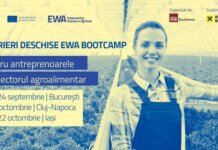 Impact Hub Bucharest și Raiffeisen Bank lansează o provocare pentru antreprenoare