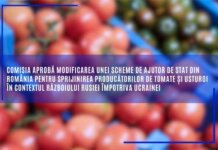 Comisia aprobă modificarea unei scheme de ajutor de stat din România pentru sprijinirea producătorilor de tomate și usturoi în contextul războiului Rusiei împotriva Ucrainei.