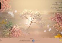 Publicul meloman va avea acces gratuit la primele etape ale secțiunilor instrumentale din cadrul Concursului Internațional George Enescu