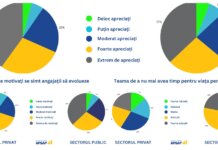 GRAFIC Stat vs privat: 60% dintre angajatii romani nu se simt apreciati de angajatori. Ce temeri mari au