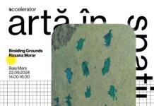 Încep proiectele de artă în spațiul public. 5 artiști vor expune în Baia Mare, Năvodari, Iași și București