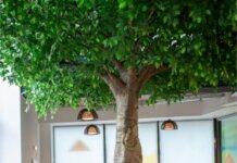 Impact Hub Bucharest introduce noi abonamente pentru coworking