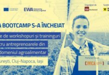 EWA Bootcamp 2024 – Final de program în antreprenoriatul agrifood de la Impact Hub Bucharest și Raiffeisen Bank România