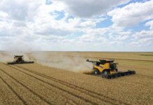 Holde Agri Invest implementeaza o serie de masuri pentru redresarea activitatii grupului