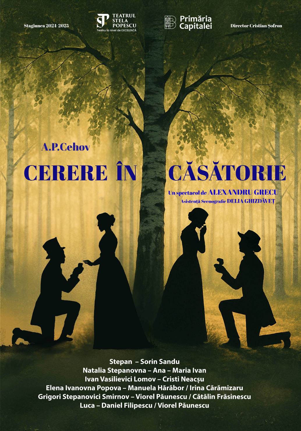 AFIS CERERE IN CASATORIE TSP web (1) (1)