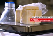 Ce ne puneți în mâncare – campania Observator continuă astăzi la Antena 1. Telemeaua de Sibiu, falsificată şi cu 2300 de enterobacterii per gram