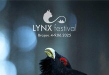 Europa, una dintre cele mai ambițioase producții ale ultimilor ani, deschide cea de-a 3-a ediție LYNX Festival