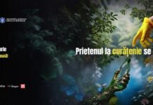 Let’s Do It, Romania! 15 ani de curățenie, 1 zi de mobilizare națională și o lege