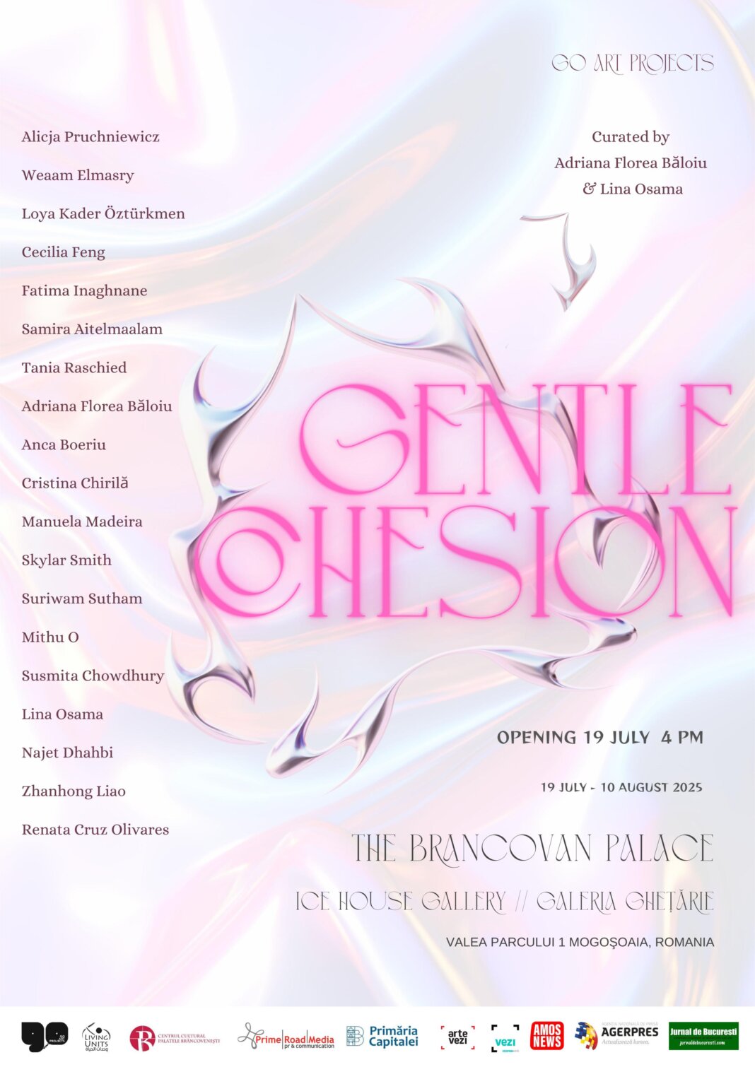 GENTLE COHESION poster