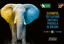 Oază de răcoare în mijlocul orașului: Muzeul Antipa, refugiu din calea caniculei