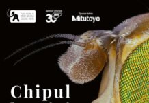 Muzeul Antipa deschide expozitia „Chipul bestiei. Perfectiunea sta in detalii”