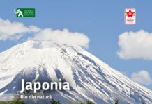 Muzeul Antipa deschide expoziția „Japonia, file din natură”