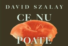 Romanul câștigător al Booker Prize 2025, Ce nu poate fi rostit, inspirat de un manuscris abandonat