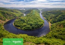 Doua treimi dintre profesionistii in sustenabilitate au incredere in standardele de carbon, insa 46% spun ca lipsesc politici clare
