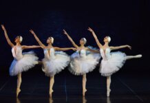 „Bărbierul din Sevilla”, „Callas-Oana Pellea”, „Lacul lebedelor”, „Lohengrin” și „Nunta lui Figaro”, titlurile care deschid luna aprilie pe scena ONB