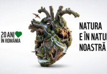 20 de ani de colaborare și impact WWF-România