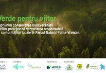 „Verde pentru Viitor” aduce natura mai aproape de oameni