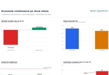 Analiză Sierra Quadrant: Firmele private se sufocă: raportul BNR care arată cum se rupe economia românească în două