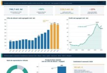 Analiză Frames: Sudul Litoralului consolidează interesul investițional: de la proiecțiile de 250 milioane euro din 2022 la proiecte de anvergură precum Nibiru